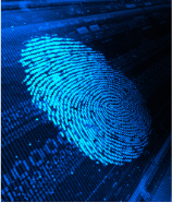 Biometric Security